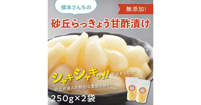 【ふるさと納税】0692 橋本さんちの砂丘らっきょう甘酢漬け 500g　らっきょう　鳥取　送料無料