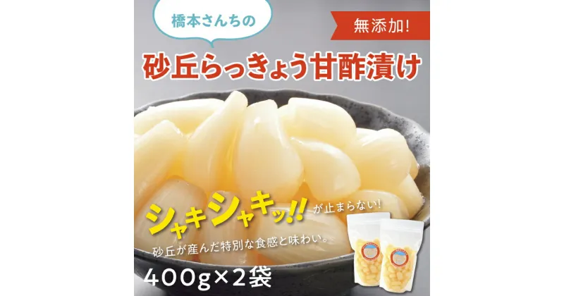 【ふるさと納税】0693 橋本さんちの砂丘らっきょう甘酢漬け 800g　　鳥取　らっきょう　送料無料