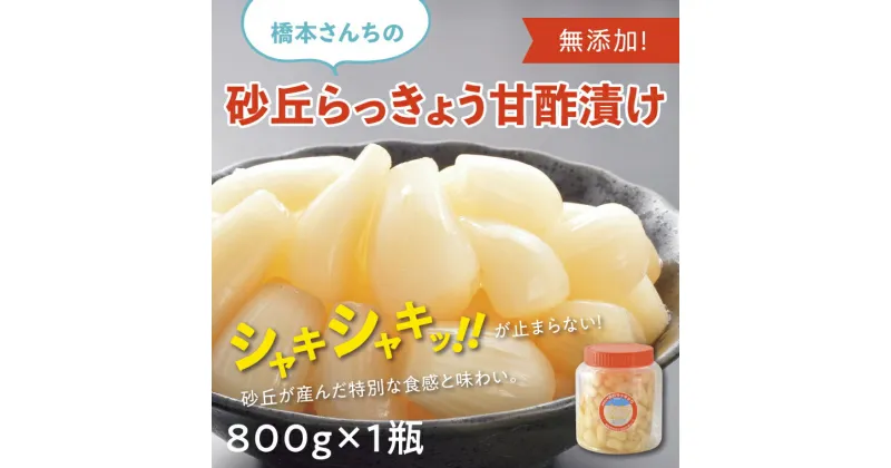 【ふるさと納税】0694 橋本さんちの砂丘らっきょう甘酢漬け 800g(瓶)　らっきょう　送料無料