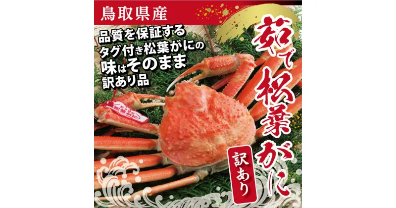 【ふるさと納税】0825 鳥取県産 訳あり茹で松葉がに(中村商店)　かに　カニ　蟹　 ずわいがに　送料無料