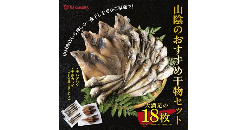 【ふるさと納税】0827 山陰のおすすめ干物セット(中村商店)　ハタハタ　カレイ　日本海 　鳥取