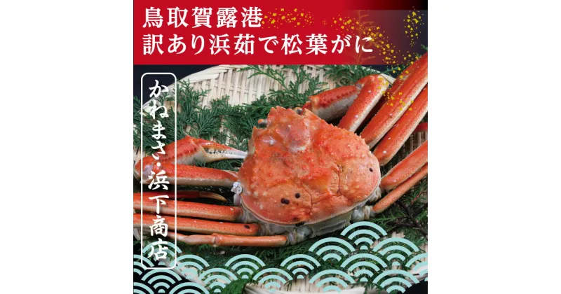 【ふるさと納税】0819 鳥取賀露港 訳あり浜茹で松葉がに 大 1枚(かねまさ・浜下商店) 蟹 かに ずわいがに 茹で ボイル 鍋 かにしゃぶ かにみそ ズワイガニ 松葉ガニ 冷蔵 送料無料 訳あり 期間限定