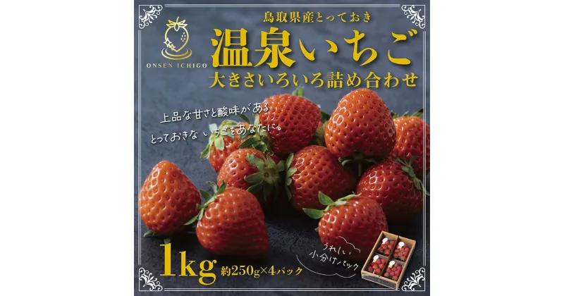 【ふるさと納税】1173 鳥取県産とっておき「温泉いちご」大きさいろいろ詰め合わせ 1キロ　送料無料　苺