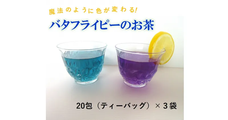 【ふるさと納税】1166　魔法のように色が変わる！バタフライピーのお茶　　鳥取　　お茶