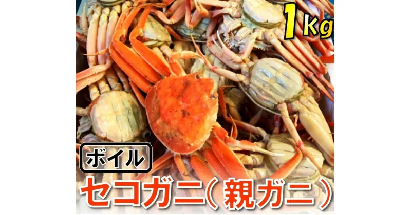 【ふるさと納税】1117【魚倉】ボイルお任せセコガニ1kgセット　 鳥取　かに　蟹　送料無料