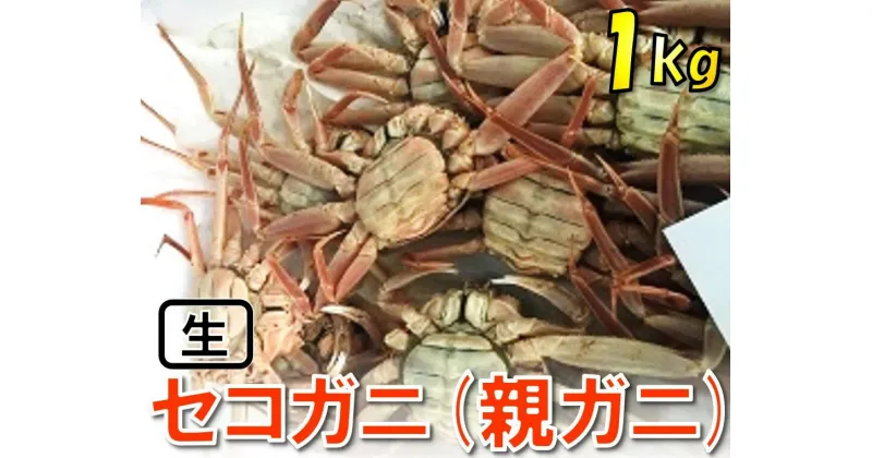 【ふるさと納税】1118【魚倉】活お任せセコガニ1kgセット　 鳥取　かに　蟹　送料無料