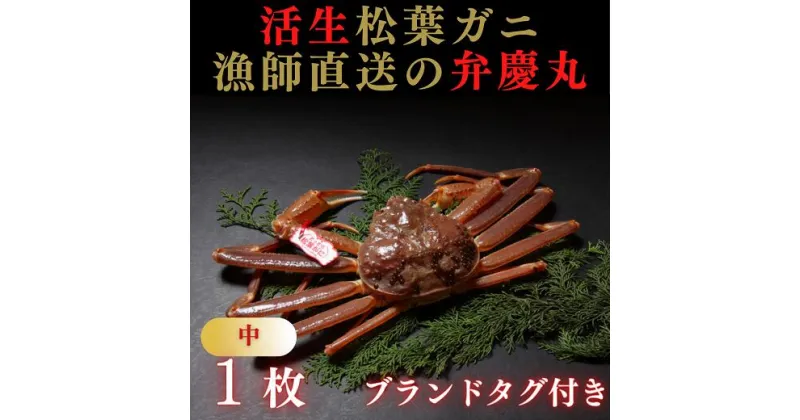 【ふるさと納税】1245 松葉ガニ活生「中1枚」ブランドタグ付き(弁慶丸)【到着日指定不可】　鳥取　送料無料