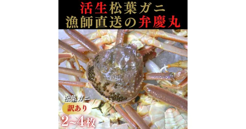 【ふるさと納税】1248 松葉ガニ【訳ありAセット】(弁慶丸)【到着日指定不可】　鳥取　送料無料