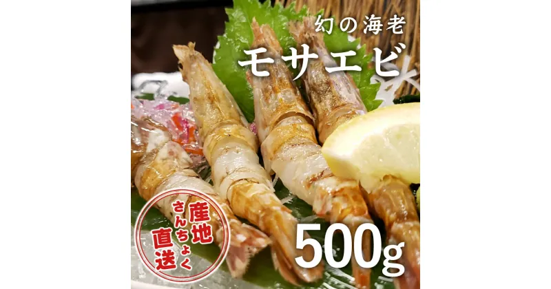 【ふるさと納税】1361 ＜お手軽パック＞幻の海老！猛者エビ(モサエビ) 500g(鳥取マーケット)