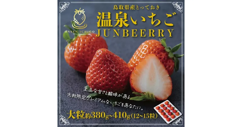 【ふるさと納税】 1610 鳥取県産とっておき「温泉いちごJUNBERRY」　送料無料　苺 期間限定