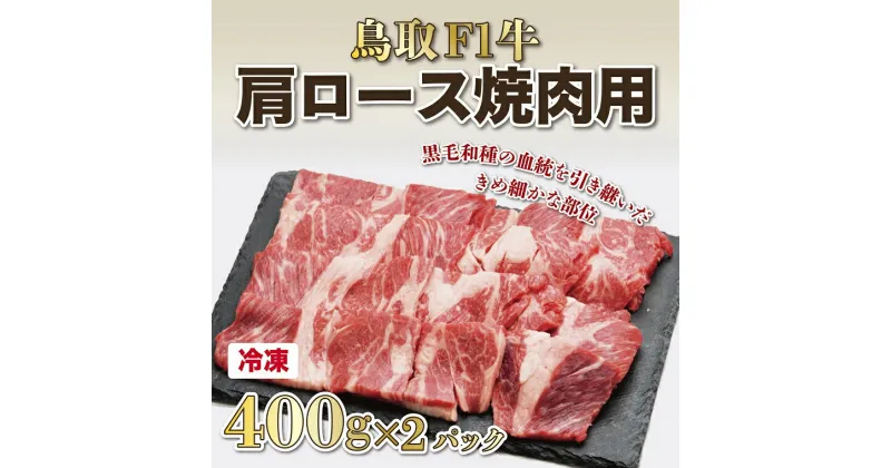 【ふるさと納税】1514 鳥取F1牛肩ロース焼肉用 800g