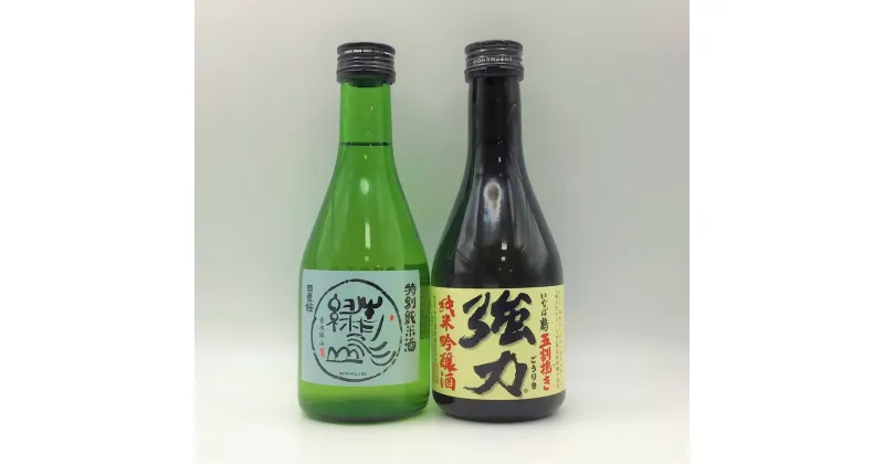 【ふるさと納税】1551 鳥取地酒セット　300ml×2本（ふるさと物産館）　日本酒　飲み比べ　鳥取