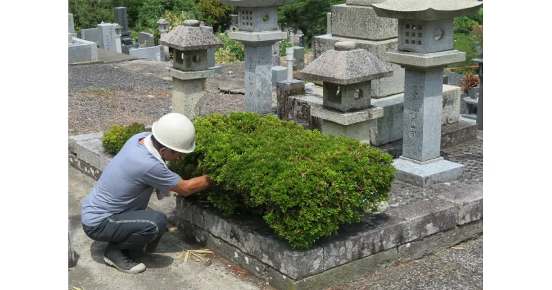 【ふるさと納税】1643 お墓清掃、供花代行サービス【鳥取市営墓地限定】　お墓掃除　代行