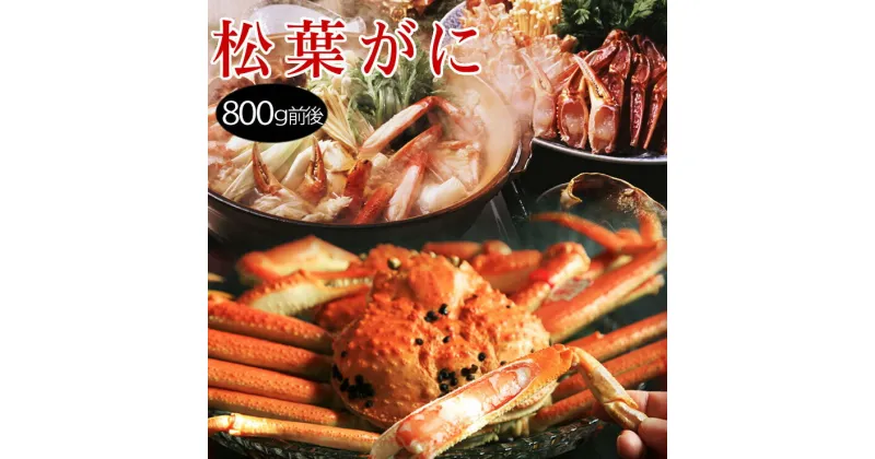 【ふるさと納税】1683 松葉がに 訳あり（茹で）大 800g前後×1枚　鳥取県産（フォーシーズン）　鳥取 蟹 カニ ズワイガニ 期間限定 送料無料