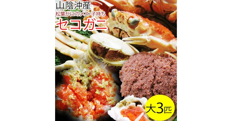 【ふるさと納税】1685 セコガニ 訳あり（茹で）大 3枚セット 鳥取県産（フォーシーズン）　鳥取 蟹 かに 親ガニ 期間限定 送料無料