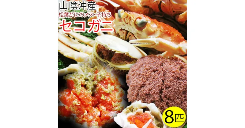 【ふるさと納税】1686 セコガニ 訳あり（茹で）8枚セット 鳥取県産（フォーシーズン）　鳥取 蟹 かに 親ガニ 期間限定 送料無料
