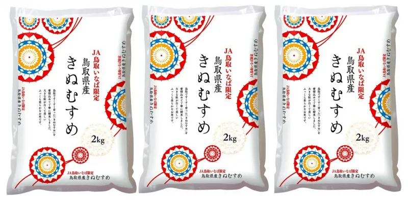 【ふるさと納税】1696 鳥取県産きぬむすめ6kg(米村商店)　　鳥取 お米 白米 食品 きぬむすめ おすすめ 送料無料